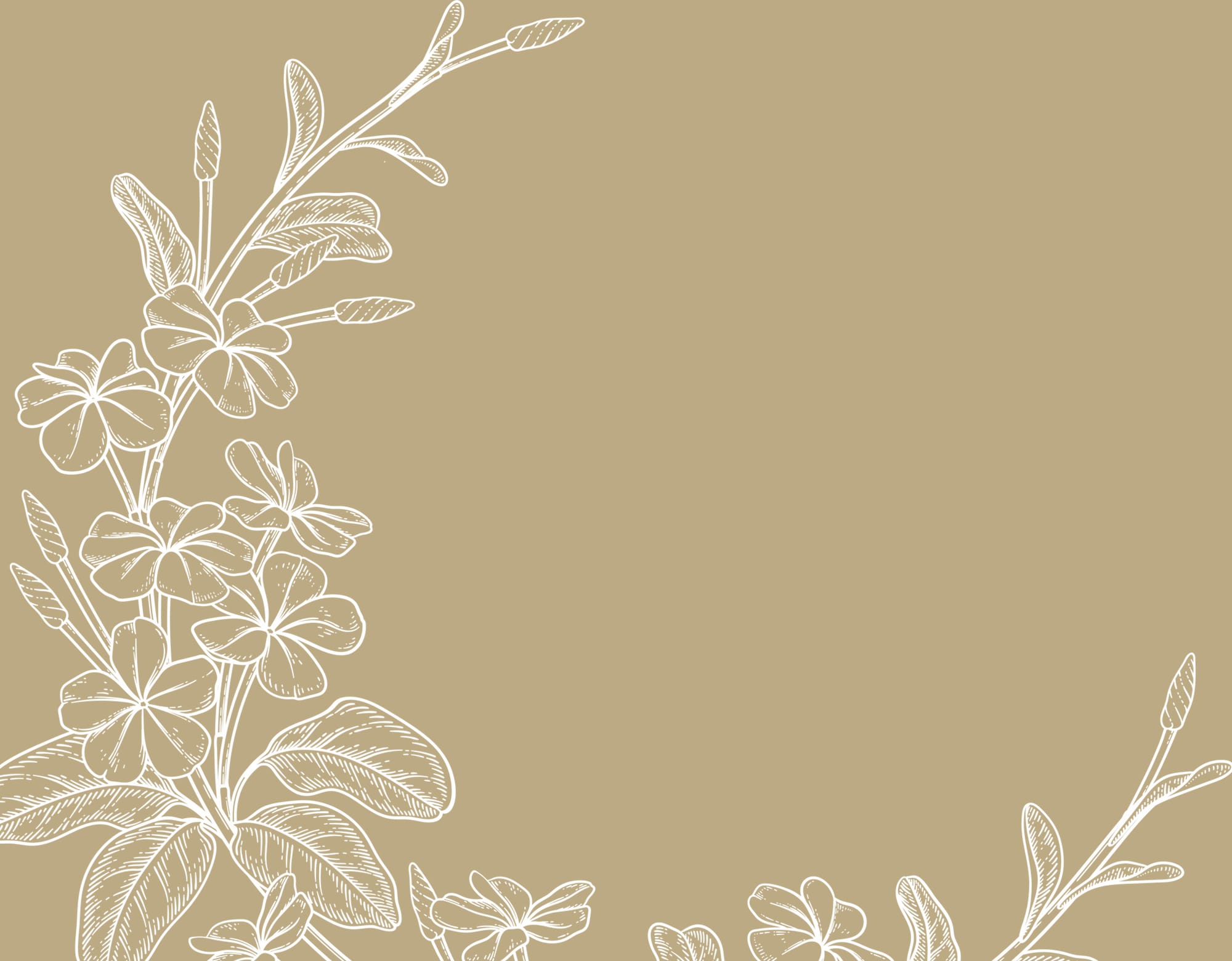 Beige background with white floral decorations in bottom left corner